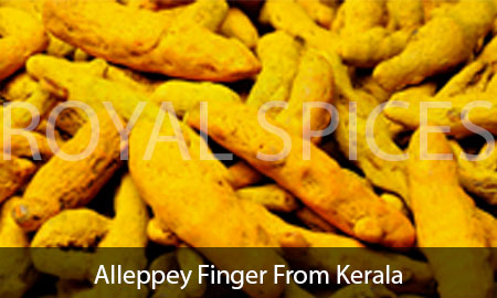 Alleppey Finger From Kerala
