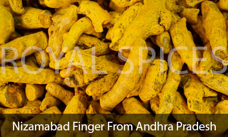 Nizamabad Finger From Andhra Pradesh